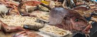 Fischmarkt in Tanger _KLE_0278-Wiederhergestellt