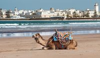 Am Strand von Essaouira _KLE7887